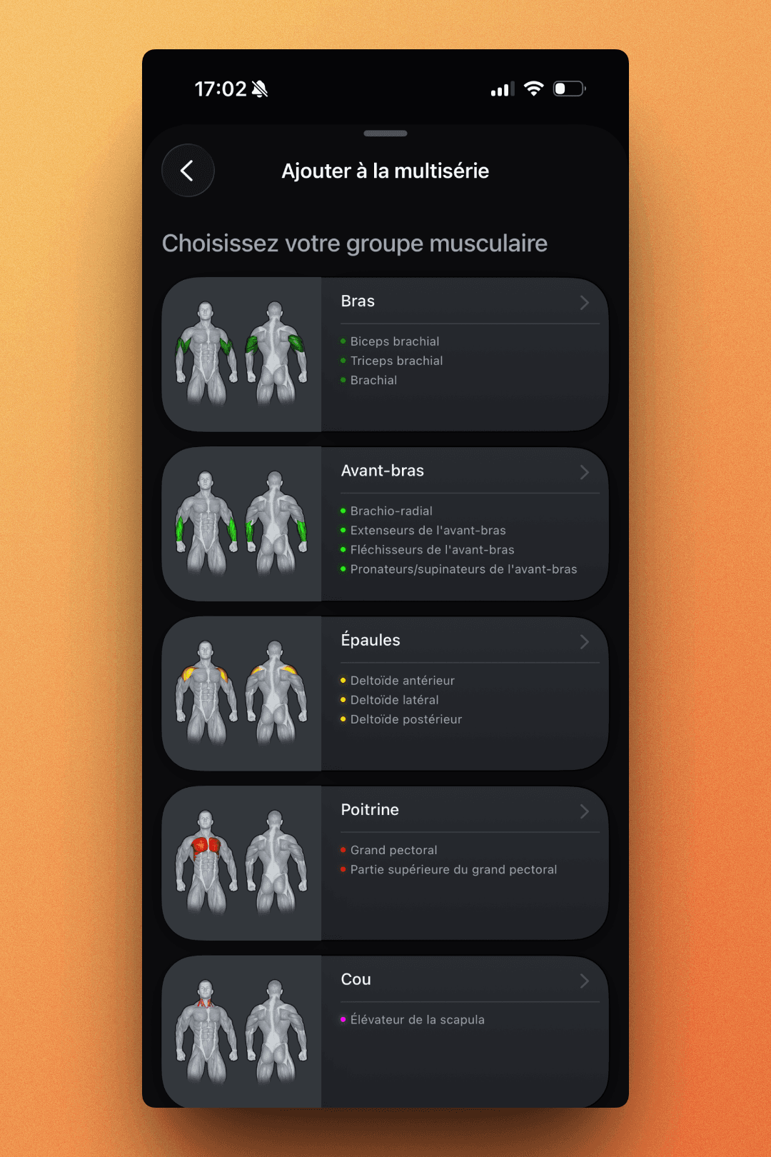 Muscle group selection with detailed anatomical illustrations