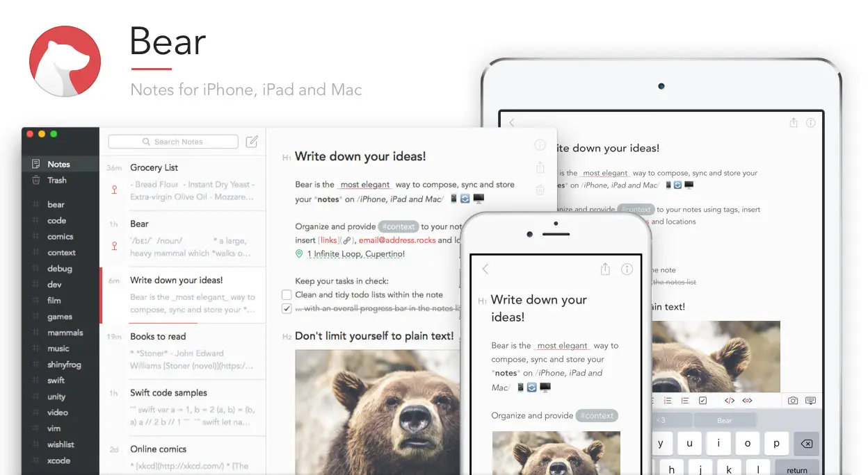 Bear product image