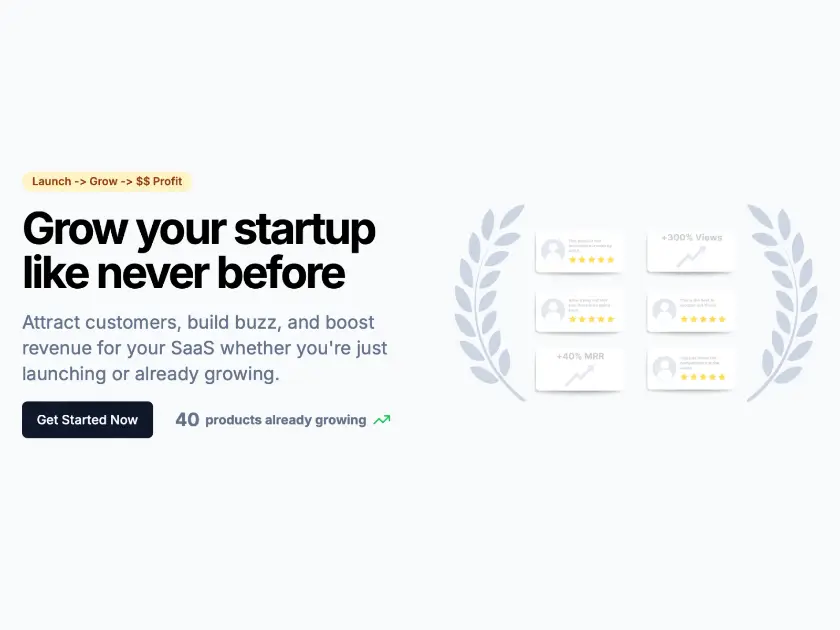 SaaSCurate product image