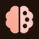 Logo of PaletteBrain 3